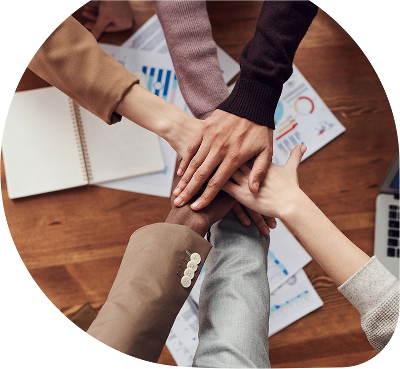 ALLCOT team ALLCOT team