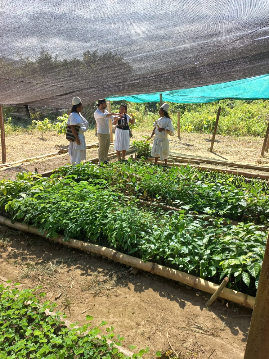 ALLCOT, Sierra Nevada de Santa Marta