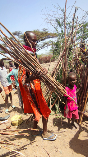 minibaner_collection