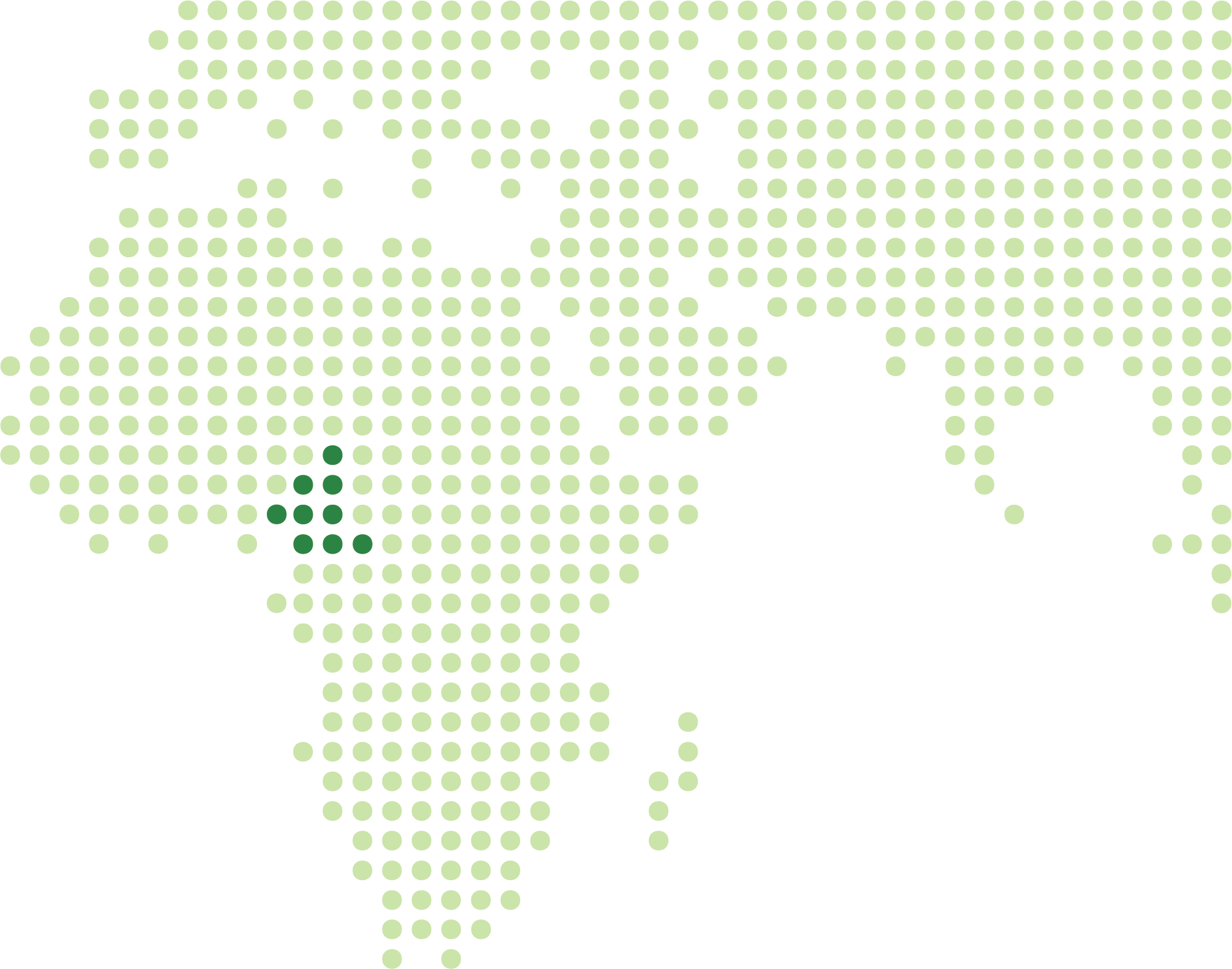 cameroon forests cameroon forests