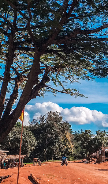 project_cycle_allcot