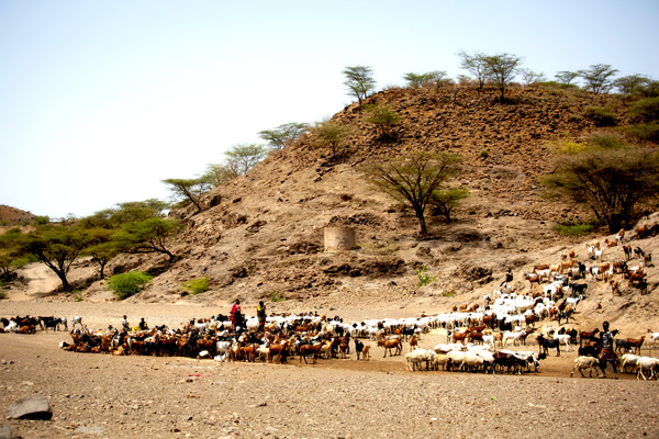 Cookstoves_turkana_north-ALLCOT-11
