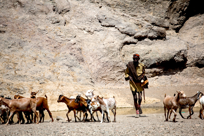 Cookstoves_turkana_north-ALLCOT-12