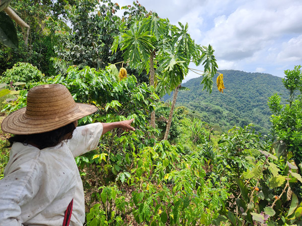 Santa-Marta-ALLCOT-10