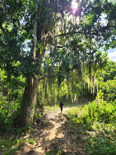 Santa-Marta-ALLCOT-13