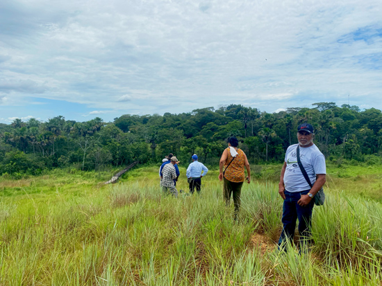 Sur-del-Meta-ALLCOT-5