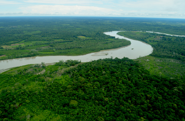 Sur-del-Meta-ALLCOT-6