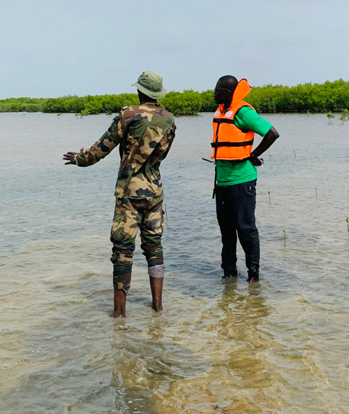 abcmangrove_ALLCOT-6