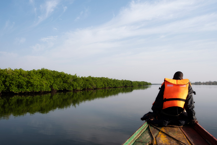 abcmangrove_ALLCOT-9