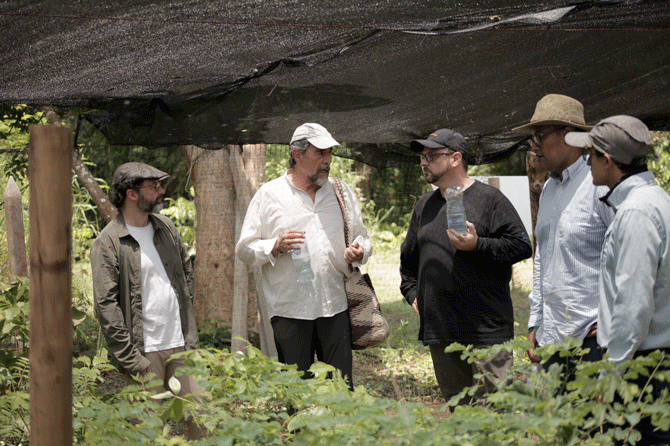 Musesi_ARR_ALLCOT_CI6