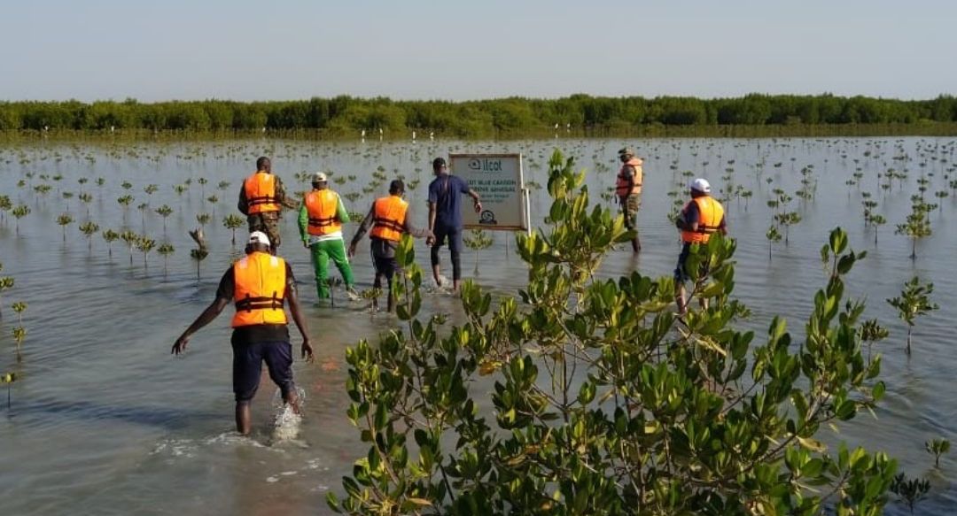 posts proyectos – 7